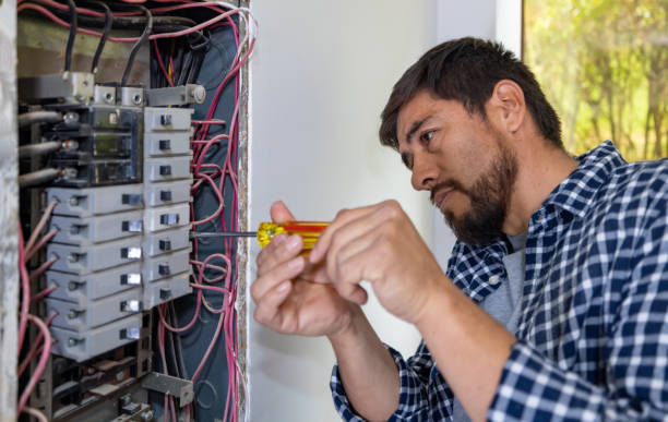 Best Electrical System Inspection  in Lexington, SC